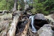 96 Tronchi d'albero nel ruscello